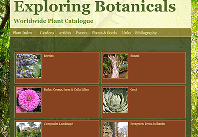 thumbnail image — Exploring Botanicals website